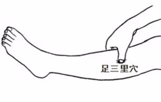 四句歌诀丨调理肠胃肚子不舒服，头痛腰背后脖子痛，脸上嘴里有毛病......(图1)