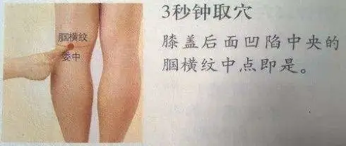 四句歌诀丨调理肠胃肚子不舒服，头痛腰背后脖子痛，脸上嘴里有毛病......(图3)