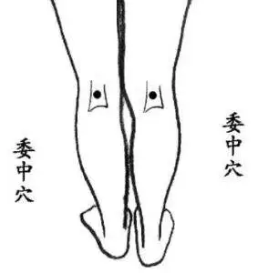 四句歌诀丨调理肠胃肚子不舒服，头痛腰背后脖子痛，脸上嘴里有毛病......(图4)