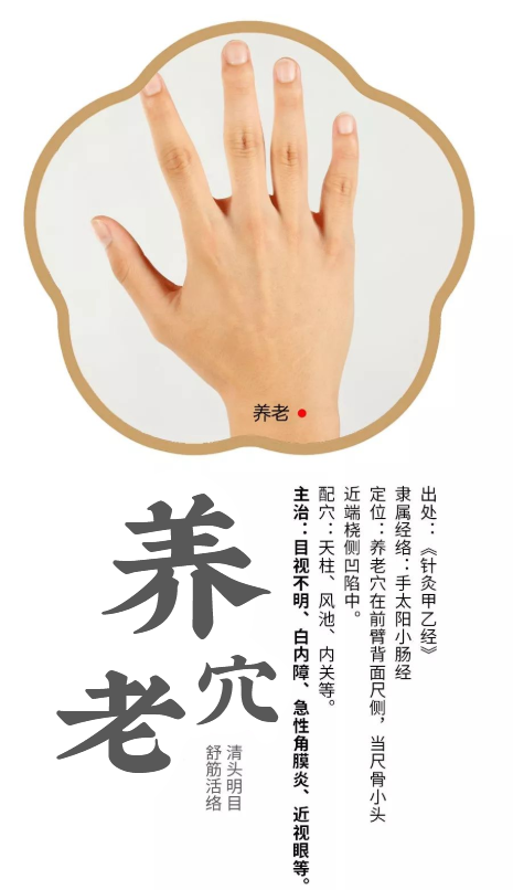 手腕这个"养老穴",专治各种老年病!每天按3分钟,气血通了病也跑了!(图1) 手腕这个"养老穴",专治各种老年病!每天按3分钟,气血通了病也跑了!(图1)