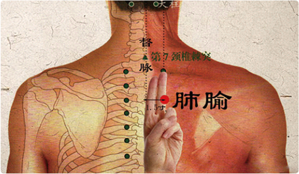 处暑来了，祛湿的最后关键期，这4个重点一定要知道，尤其是第二个！(图11)