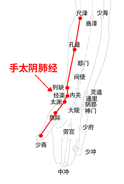 秋冬想要少生病，一定要拍打此处，大病小病它都管！(图6)