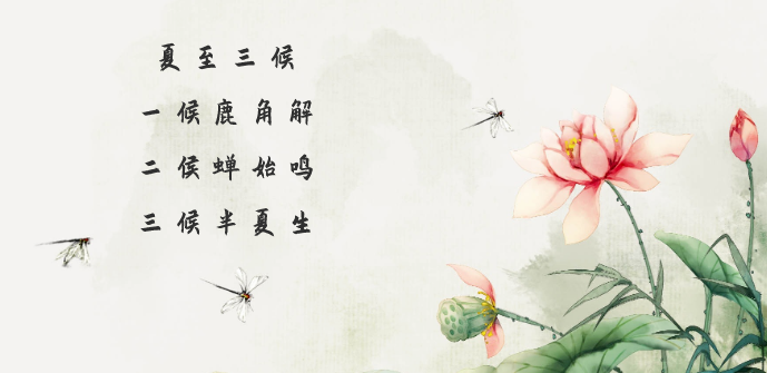 阳气最盛的时节来了!宜养阳祛湿、清热泻火,做好3件事,为三伏打基础(图1) 阳气最盛的时节来了!宜养阳祛湿、清热泻火,做好3件事,为三伏打基础(图1)