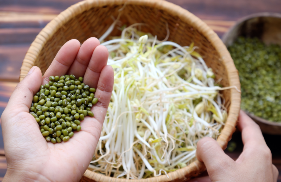 抓住冬病夏治黄金期！做对这4点，养阳祛寒、健脾化湿，解决陈年旧疾(图6)