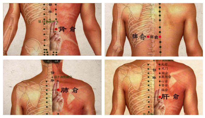 春天养背,人活百岁!5个动作激发一身阳气,五脏六腑都通畅(图3) 春天养背,人活百岁!5个动作激发一身阳气,五脏六腑都通畅(图3)