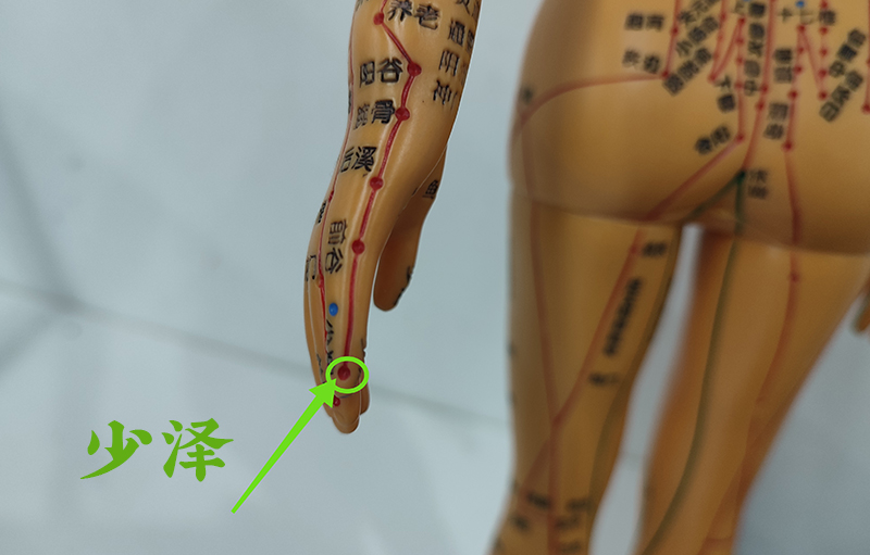 小满养生忌“3满”、灸3穴、吃3果,健脾排浊、调肠清热,舒坦过夏天(图14) 小满养生忌“3满”、灸3穴、吃3果,健脾排浊、调肠清热,舒坦过夏天(图14)