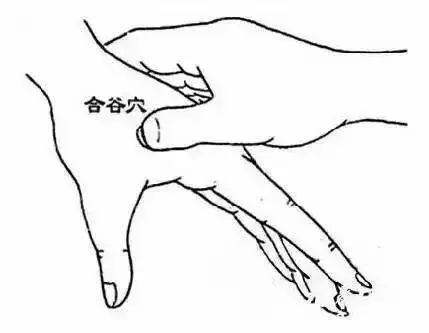 这个穴位是人身上的“万能圣药”,经常艾灸按揉远离高血压、脑中风、脑梗(图3) 这个穴位是人身上的“万能圣药”,经常艾灸按揉远离高血压、脑中风、脑梗(图3)