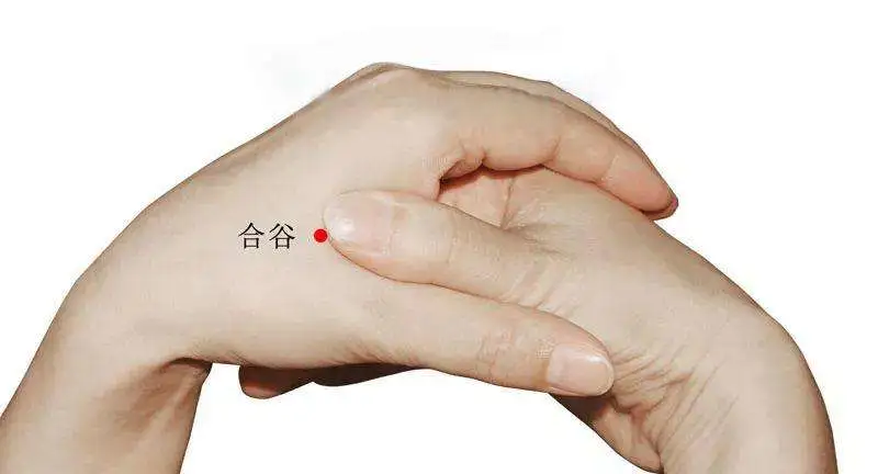 这个穴位是人身上的“万能圣药”,经常艾灸按揉远离高血压、脑中风、脑梗(图8) 这个穴位是人身上的“万能圣药”,经常艾灸按揉远离高血压、脑中风、脑梗(图8)